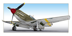 A-36A Apache/Mustang (10x20)