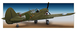 P-40 Flying Tiger (10x25)