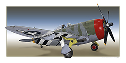 P-47 Hairless Joe (10x20)
