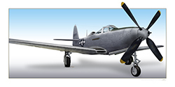 P-63 Kingcobra (10x20)